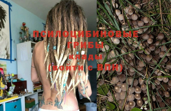 не бодяженный Алзамай