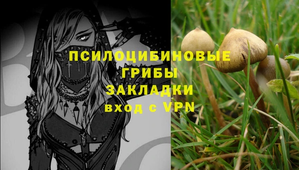 бутират Алексин
